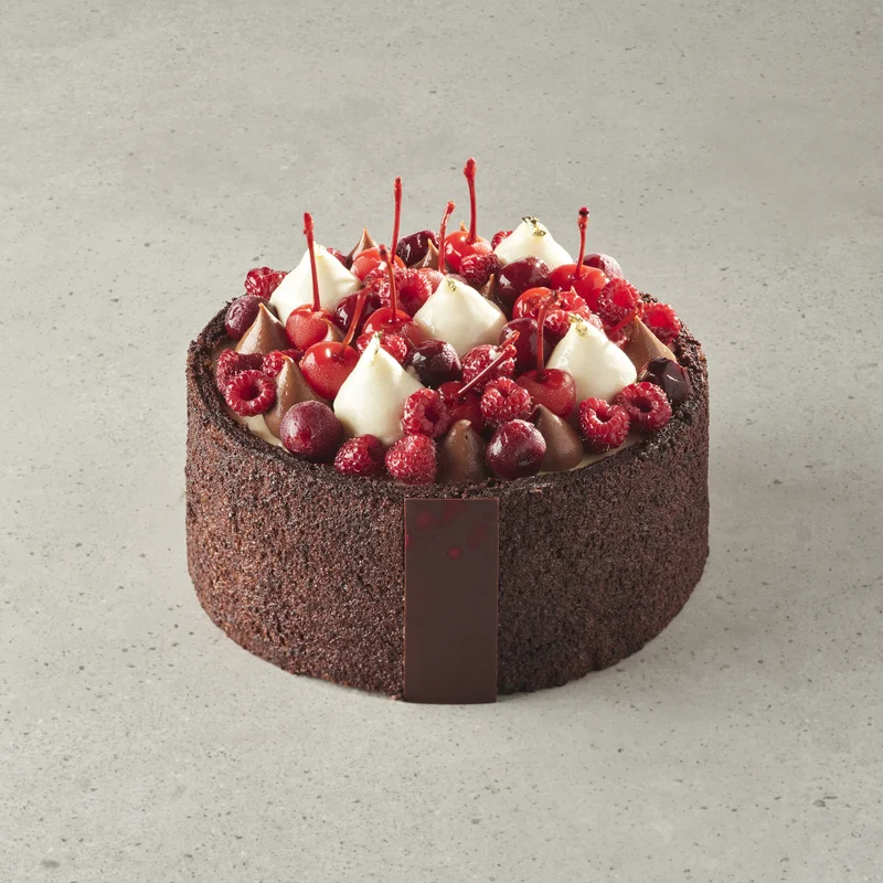 Tort «Olcha-shokolad»