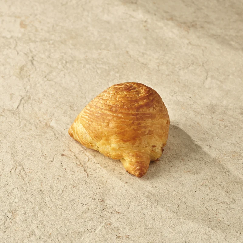 Meat samsa