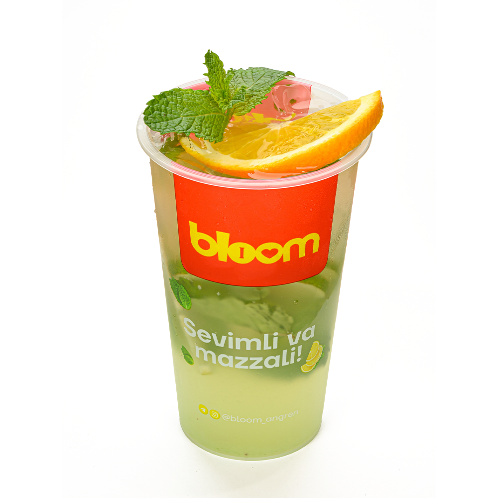 SOBOY MOXTO CLASSIC M